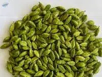 Green Cardamom