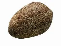 Dry Coconut (Copra)