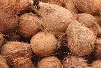 Husked Coconut