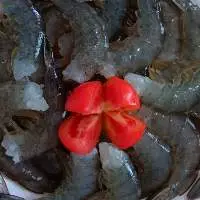 Vaname shrimp (Litopenaeus vannamei)