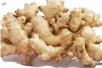 Emprit Ginger