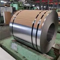 310s Stainless Steel Coil