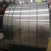 Stainless Steel Strip