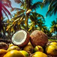 Coconut