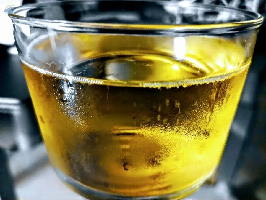 Fish Oil