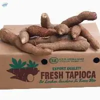 Sri Lankan Fresh Tapioca