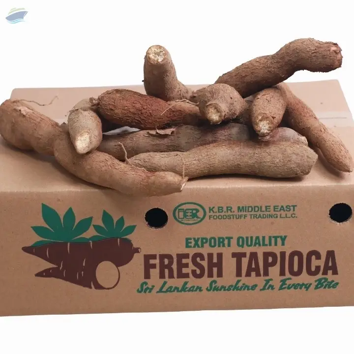 Sri Lankan Fresh Tapioca