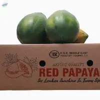 Sri Lankan Fresh Red Papaya