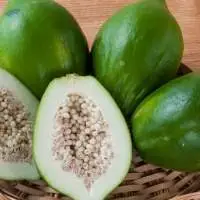 Sri Lankan Fresh Green Papaya