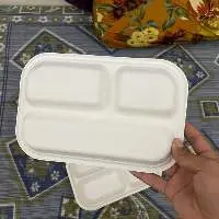 3 CP Meal Tray