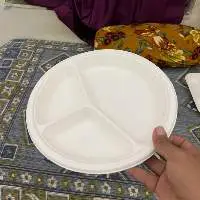 10" 3-Compartment Plate