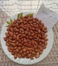 Groundnut Seeds