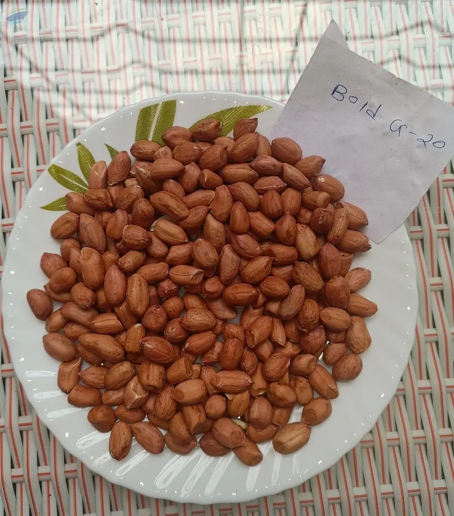 Groundnut Seeds