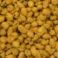 Turmeric Bulb Polished