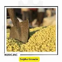 Sulphur Granular