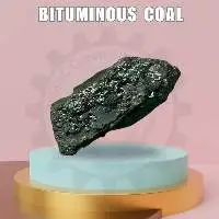 Bituminous Coal