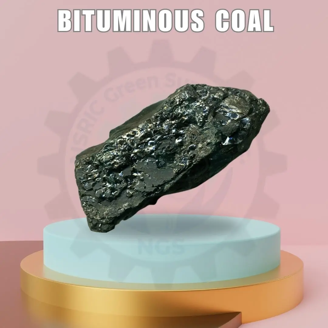 Bituminous Coal