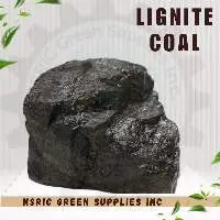 Lignite Coal