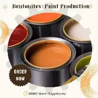 Paint Production
