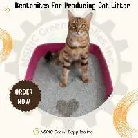 Bentonites For Producing Cat Litter