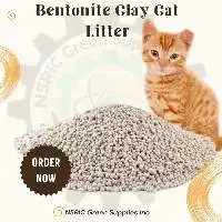 Bentonite Clay - Cat Litter
