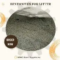 Bentonites For Litter