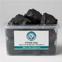 Steam Coal