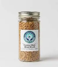 Common Wheat
