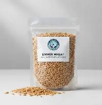 Emmer Wheat