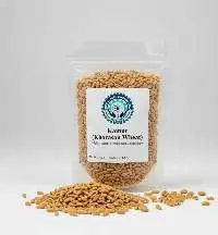Kamut (Khorasan Wheat)