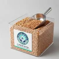 Hard Red Spring Wheat