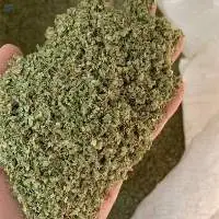 Marjoram