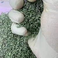 Fennel Seeds
