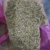 Cumin Seeds