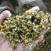 Chamomile flowers