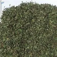 spearmint