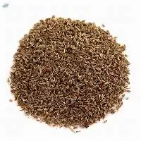 anise seeds