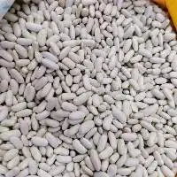 White beans