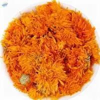 Calendula flowers