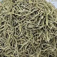 Rosemary