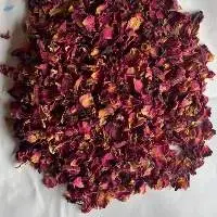rose flowers