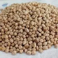 Chickpea beans