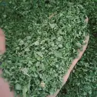 Moringa