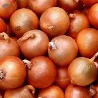 White onion