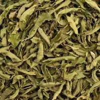 Lemon Balm