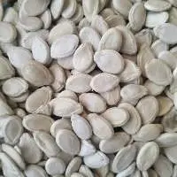 Watermelon seeds