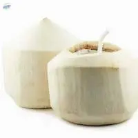 Fresh Diamond Cut White Young Coconut