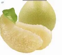Pink-Flesh Pomelo