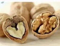 Wholesale Walnuts  