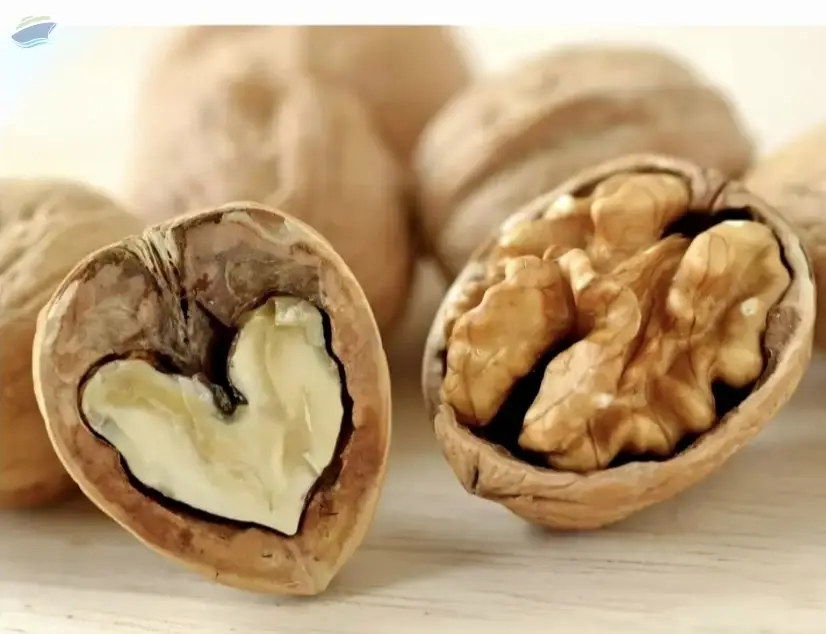 Wholesale Walnuts  